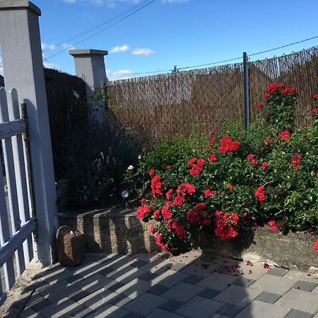 Les Magnolias En Alsace - Meuble De Tourisme 3 Etoiles Apartment Barembach Bagian luar foto