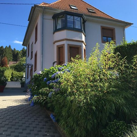 Les Magnolias En Alsace - Meuble De Tourisme 3 Etoiles Apartment Barembach Bagian luar foto