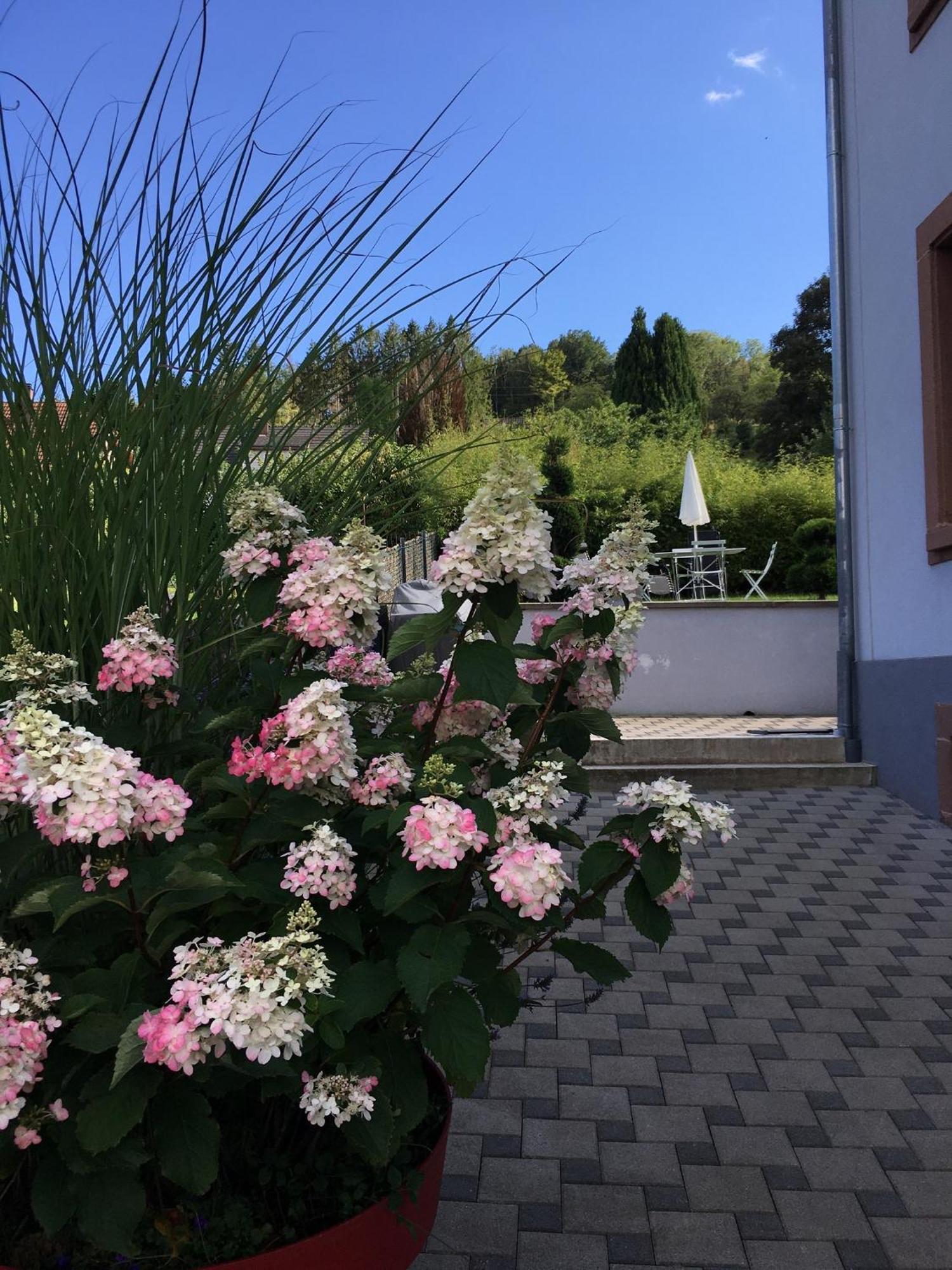 Les Magnolias En Alsace - Meuble De Tourisme 3 Etoiles Apartment Barembach Bagian luar foto
