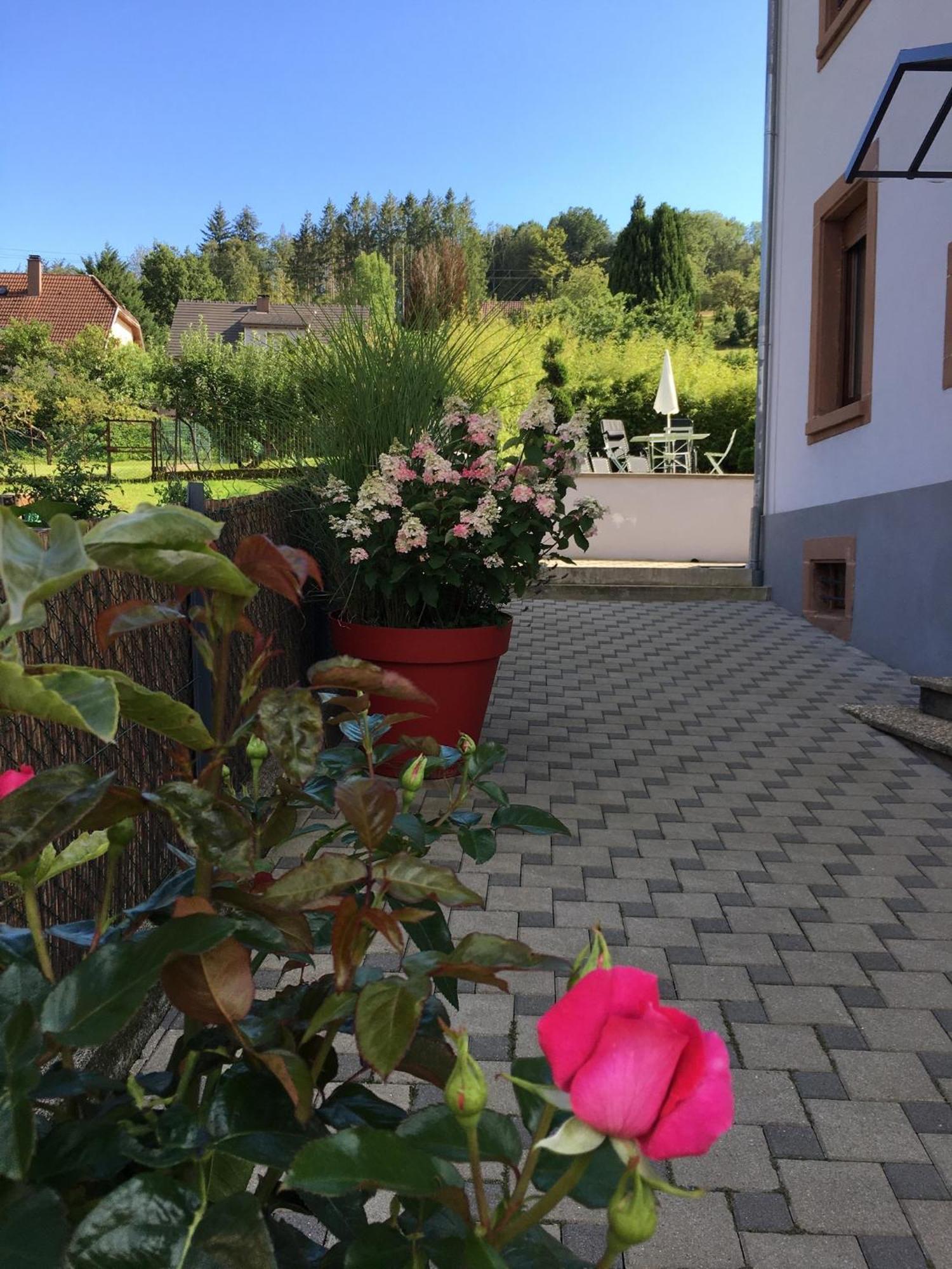 Les Magnolias En Alsace - Meuble De Tourisme 3 Etoiles Apartment Barembach Bagian luar foto
