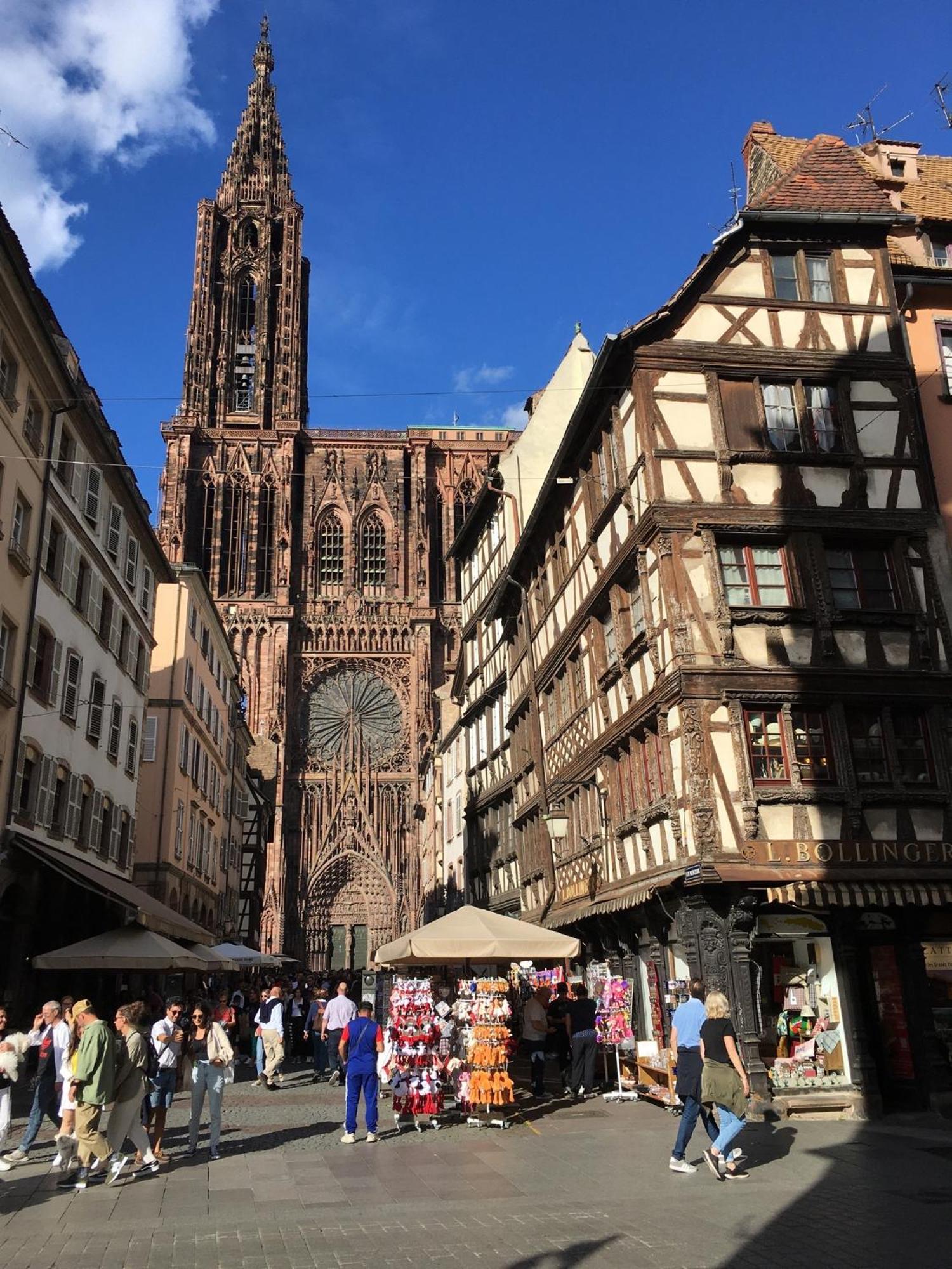 Les Magnolias En Alsace - Meuble De Tourisme 3 Etoiles Apartment Barembach Bagian luar foto