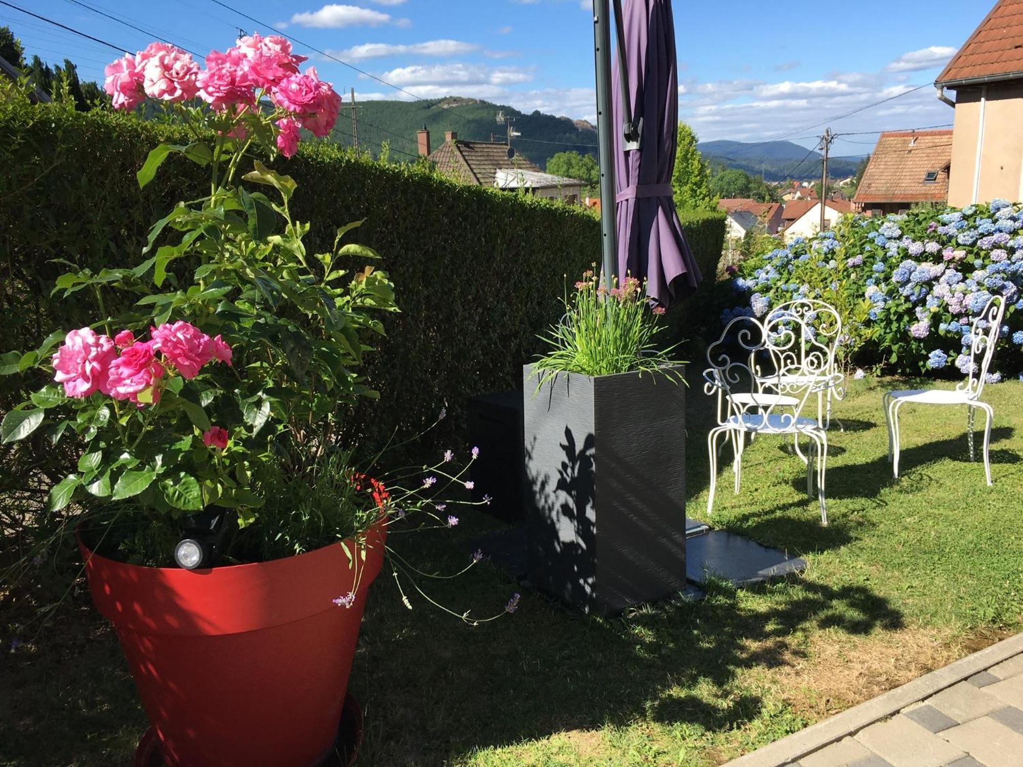 Les Magnolias En Alsace - Meuble De Tourisme 3 Etoiles Apartment Barembach Bagian luar foto